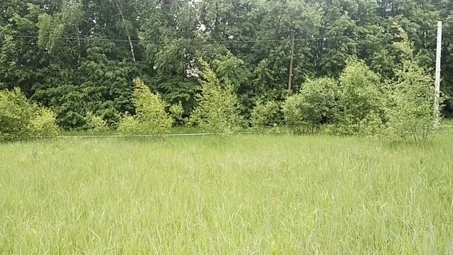 video_20260602_144214 смотреть онлайн