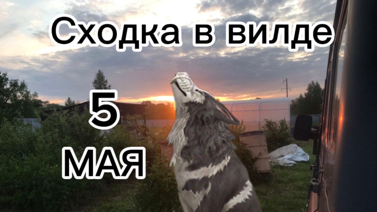 Сходка в вилд крафт!!!!!!!!!!!!! Приглашаю 🫶в 19:30 точней я перепутала смотреть онлайн