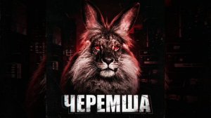 funk:ЧЕРЕМША