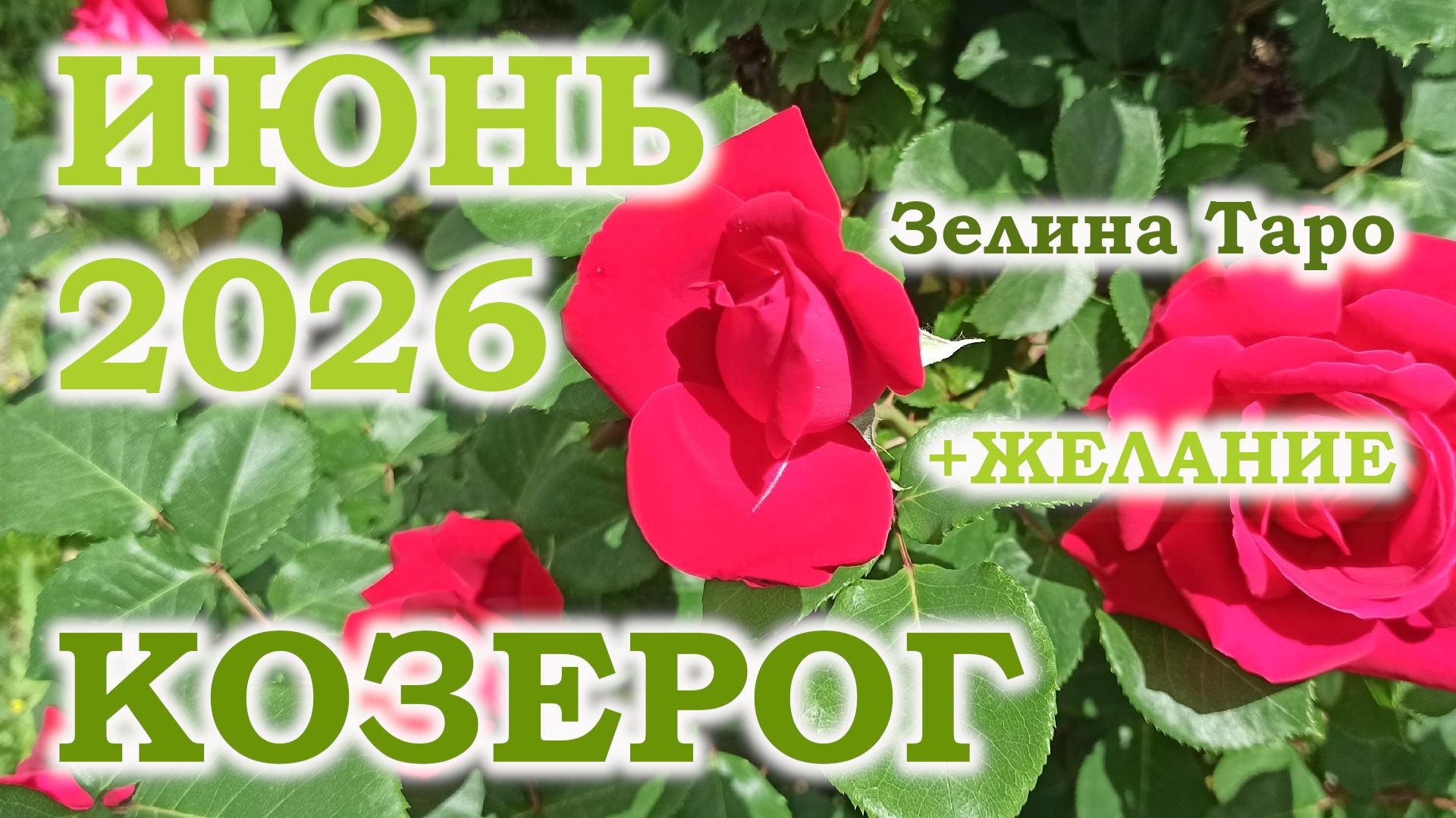 КОЗЕРОГ  ТАРО прогноз на ИЮНЬ 2026 года  Желание  Расклад таро