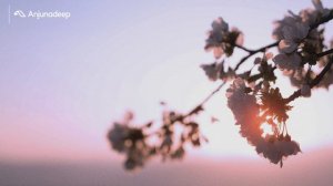 'Sunday Detox' presented by Anjunadeep