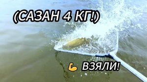 Хорошо быть мужиком! Вываживание сазана на 4 кг 🎣💪 #рыбалка #сазан #мужики