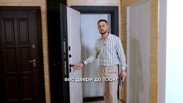 Обзор входной двери Лабиринт Аляска Лайт