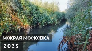 Что случилось с рекой Мокрая Московка? Запорожье 2025