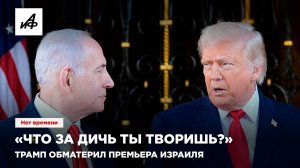«Что за дичь ты творишь?» Трамп обматерил премьера Израиля