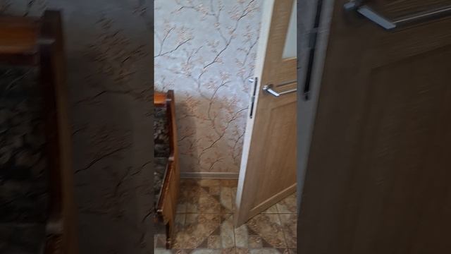 15795.mp4 смотреть онлайн