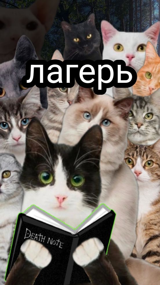 Лагерь 4 серия