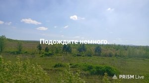 Рома и Влад