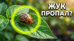 Дела огородные: Обзор моих посадок