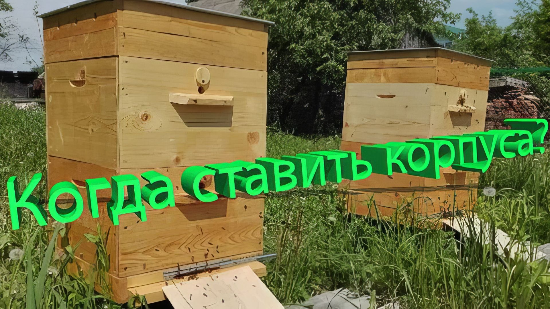 Кемеровская система: когда ставить корпуса и как это связано с выводом маток? | Кашковский 🐝📅 смотреть онлайн