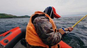 Сезон Горбуши.Японское море.Приморский край.