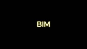 BIM (ПОДПИШИТЕСЬ!!!)