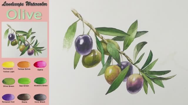Оливковая ветвь — фруктовый пейзаж акварелью