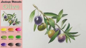 Оливковая ветвь — фруктовый пейзаж акварелью