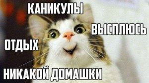 рэп в честь каникул