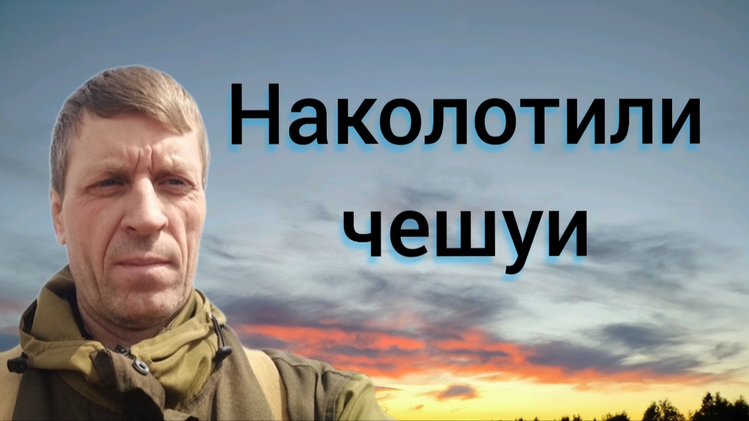 нашли поле с чешуёй смотреть онлайн