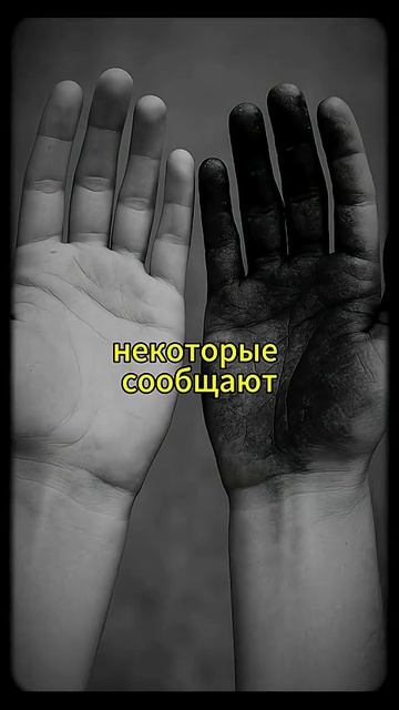 😈 АНОМАЛИЯ #95 | "Чернильная вода" Опасность — 6/10🩸 Примечания: • Перекрыть воду полностью смотреть онлайн