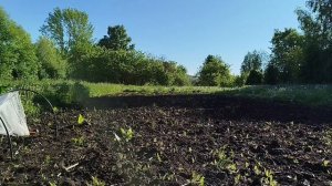 Уехали на лето в деревню🏡Приводим хозяйство в порядок🪾🌳