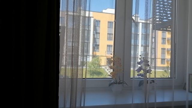 Это обзорщики травят Быкову? смотреть онлайн
