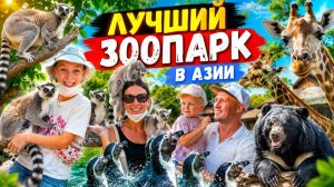 Любишь животных? Мы оценили 2 зоопарка в разных странах