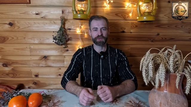 Сезон рассады начинается. Что сеять в январе. смотреть онлайн
