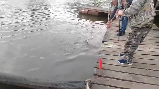 1000088218.mp4 смотреть онлайн