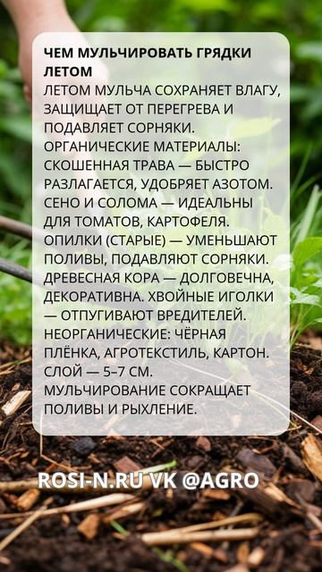 Чем мульчировать грядки летом