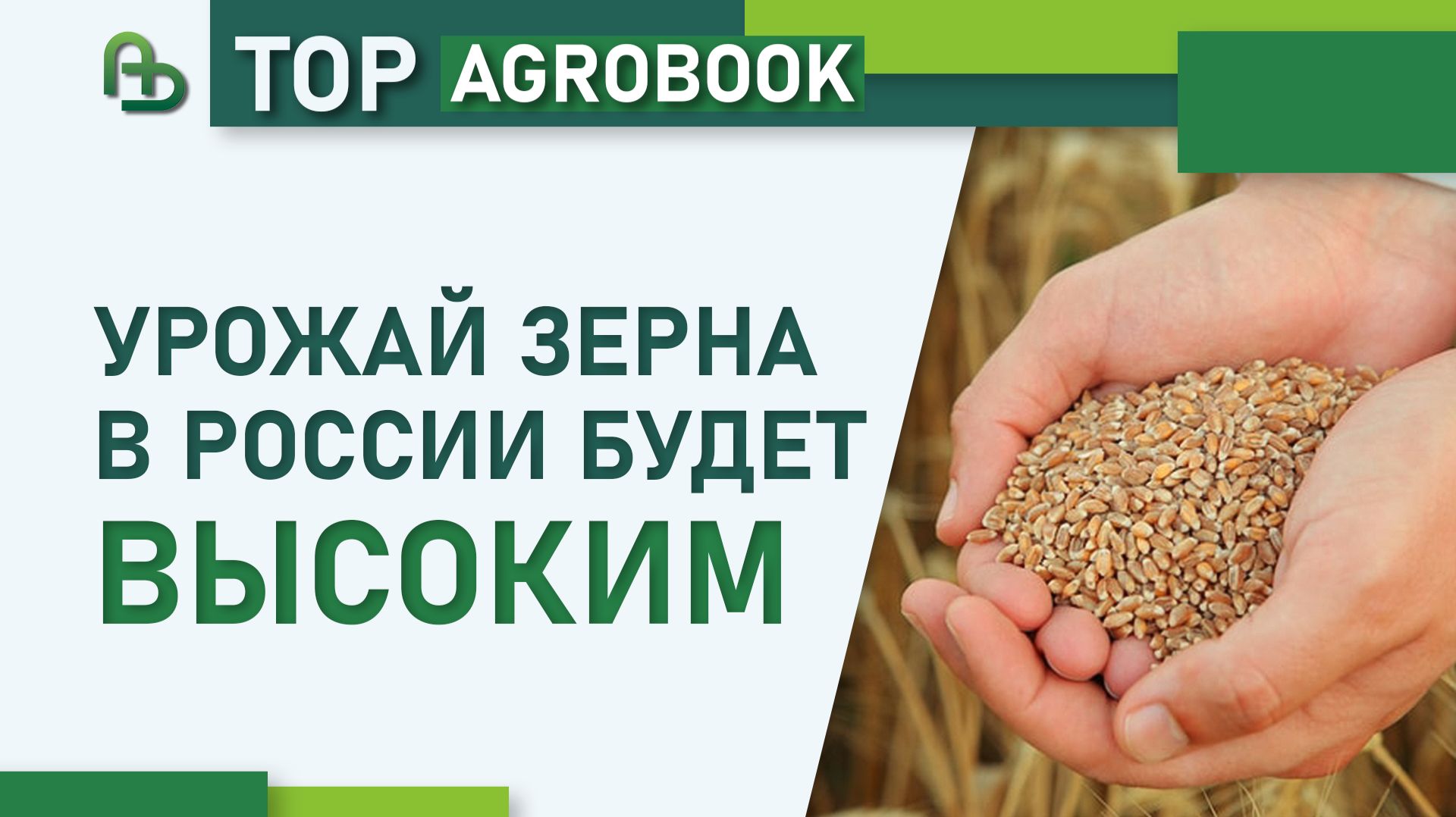 Урожай зерна в России будет высоким | TOP Agrobook смотреть онлайн
