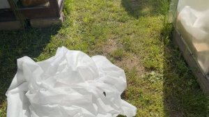 Про ступени. Все докосила не дыша. Уезжаем