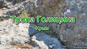 Тропа Галицина