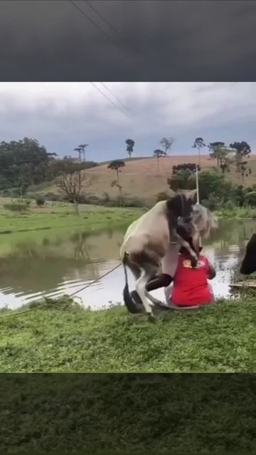 Никто не удержался 🤣😂🤣