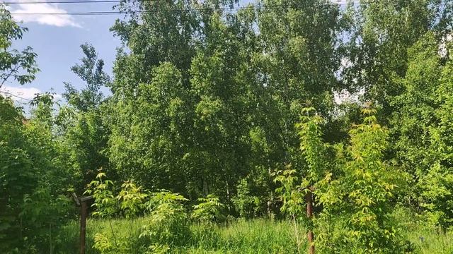 ОСУЖДЕННАЯ 😲☝️ И УЖЕ АМНИСТИРОВАННАЯ☝️😲 ШАПОКЛЯК 🙋 С БЛАГОДАРНОСТЬЮ☝️☀️☀️☀️ смотреть онлайн