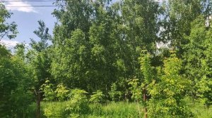 ОСУЖДЕННАЯ 😲☝️ И УЖЕ  АМНИСТИРОВАННАЯ☝️😲 ШАПОКЛЯК 🙋 С БЛАГОДАРНОСТЬЮ☝️☀️☀️☀️