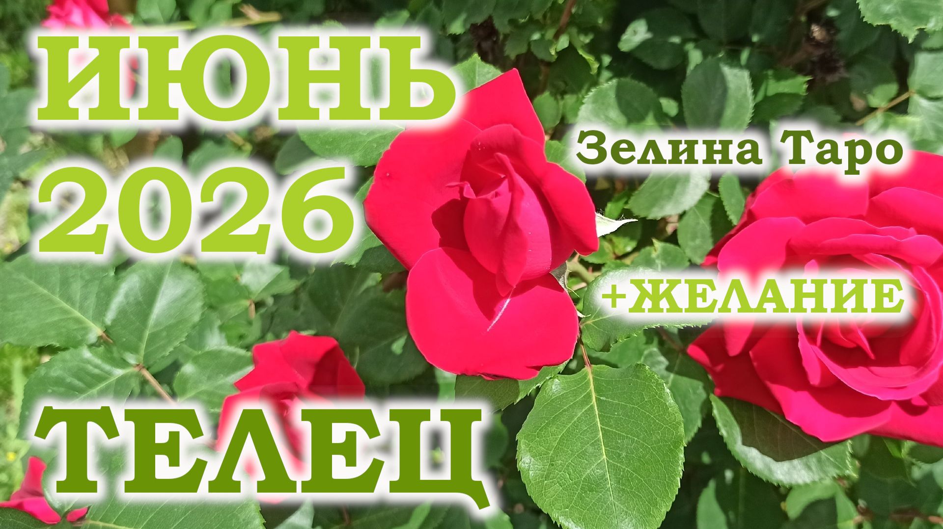 ТЕЛЕЦ | ТАРО прогноз на ИЮНЬ 2026 года | Желание | Расклад таро смотреть онлайн