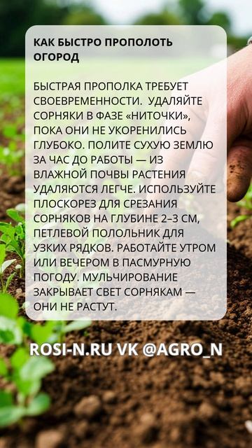 Как быстро прополоть огород