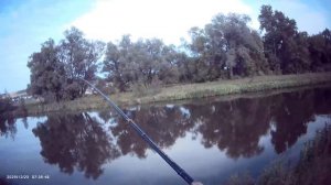 Сегодня вечерком порыбачил на Пикер🎣 Прикормка Стерля (Лещ-Плотва). Дип ваниль.