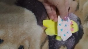 1000004076.mp4