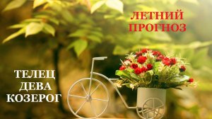 ЛЕТНИЙ ПРОГНОЗ ДЛЯ ЗНАКОВ ЗЕМЛИ