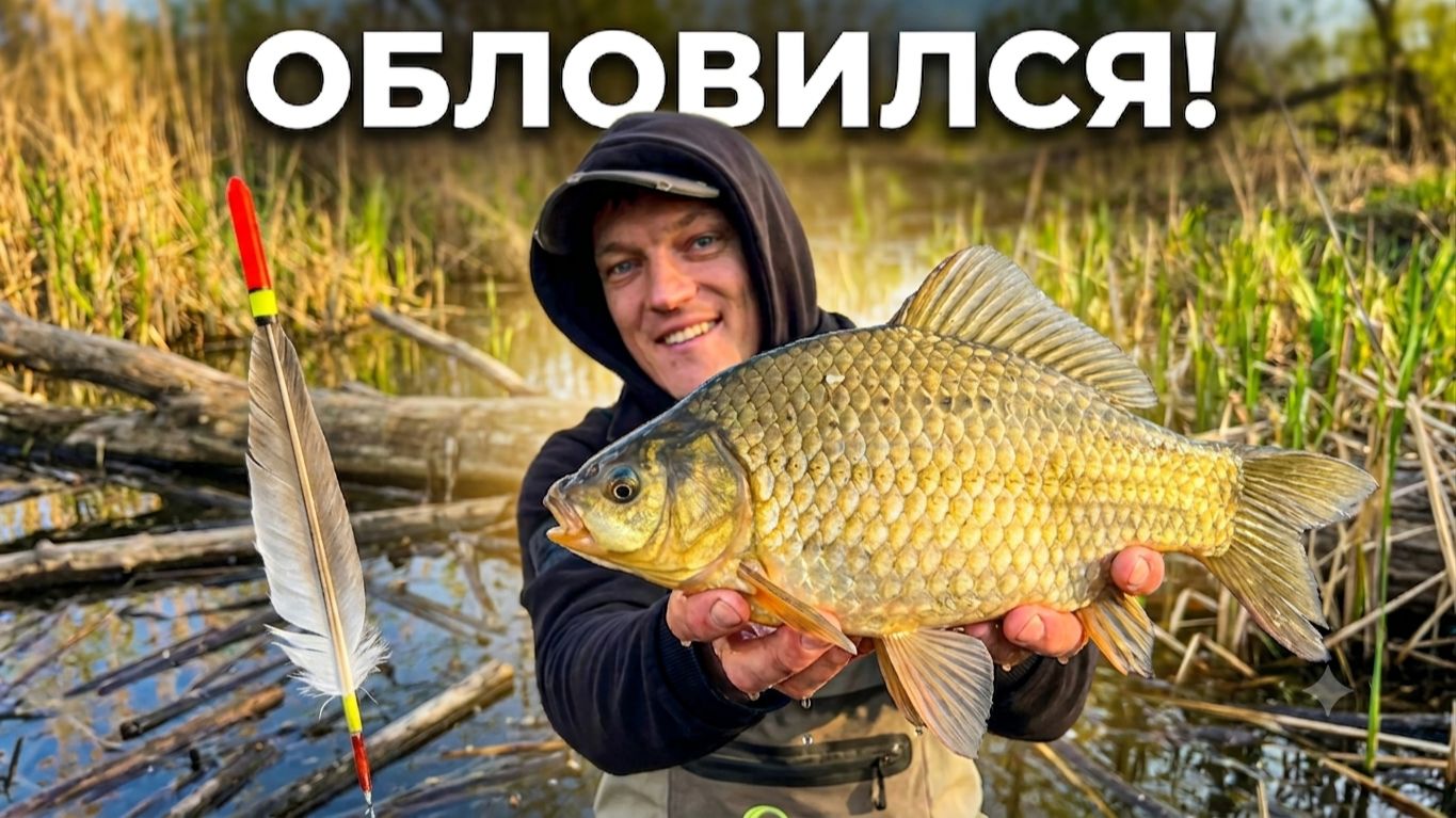 ЗАЛЕЗ В ДЕБРИ И НЕ ЗРЯ! ПОКЛЁВКА ЗА ПОКЛЁВКОЙ! ЛОВЛЯ КАРАСЯ НА НЕУБИВАЕМЫЙ ПОПЛАВОК ГУСИНОЕ ПЕРО смотреть онлайн