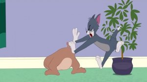 Шоу Тома и Джерри | Пещерный кот | Tom&Jerry