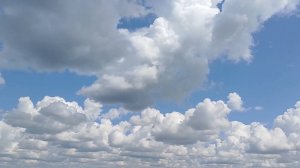 Муж считал себя гением, решив разделить финансы. Но обнаружив в своей ванной это, он изменил ...