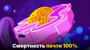 Почему бешенство — самый смертоносный вирус в истории