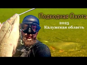 Подводная охота 2025. Малые реки Калужской области.