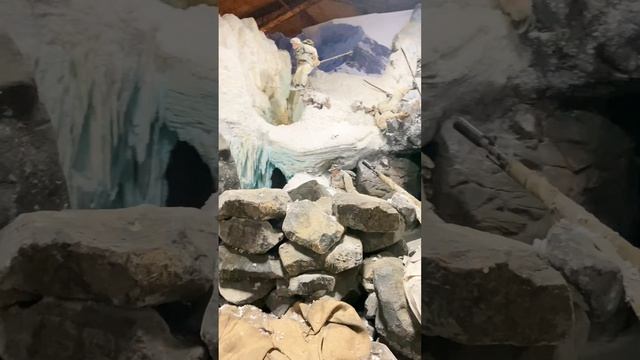 Иммерсивная выставка «Пропавшие в кинохронике»