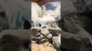 Иммерсивная выставка «Пропавшие в кинохронике»