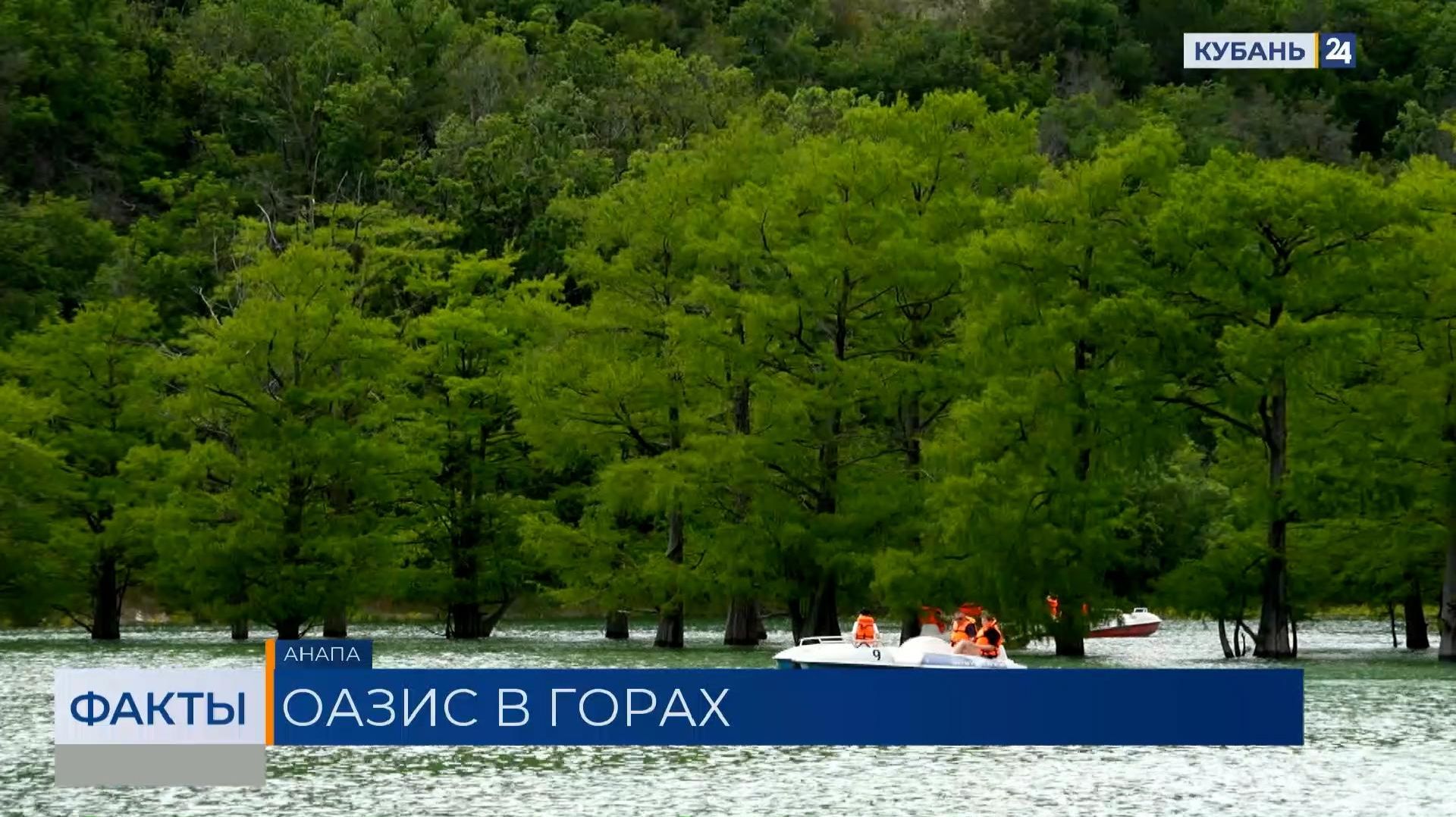 Кипарисовое озеро в Анапе снова наполнилось после дождей смотреть онлайн