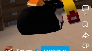 Эдит тайский котсть