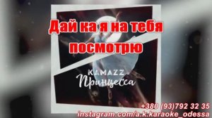 Принцесса(AK)(задав)~___Kamazz #караоке #подпишись #тренды #Kurkov @a.k.karaoke💖