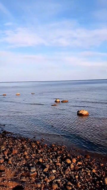 Путешествие по России. Зеленогорск. #travel