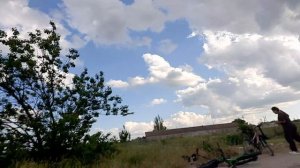 играем в канавного свинтуса